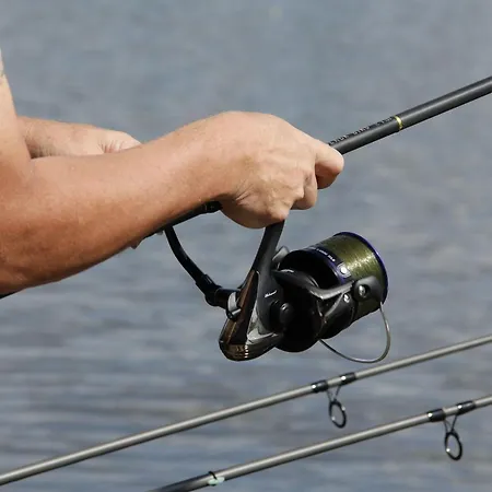 Le Vairon Villiers-Charlemagne